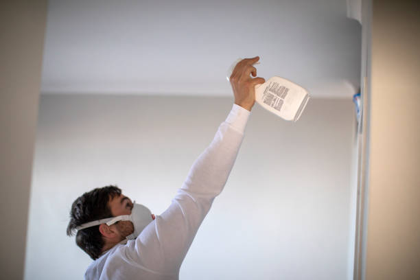 Best Crawl Space Mold Removal  in Kachina Village, AZ